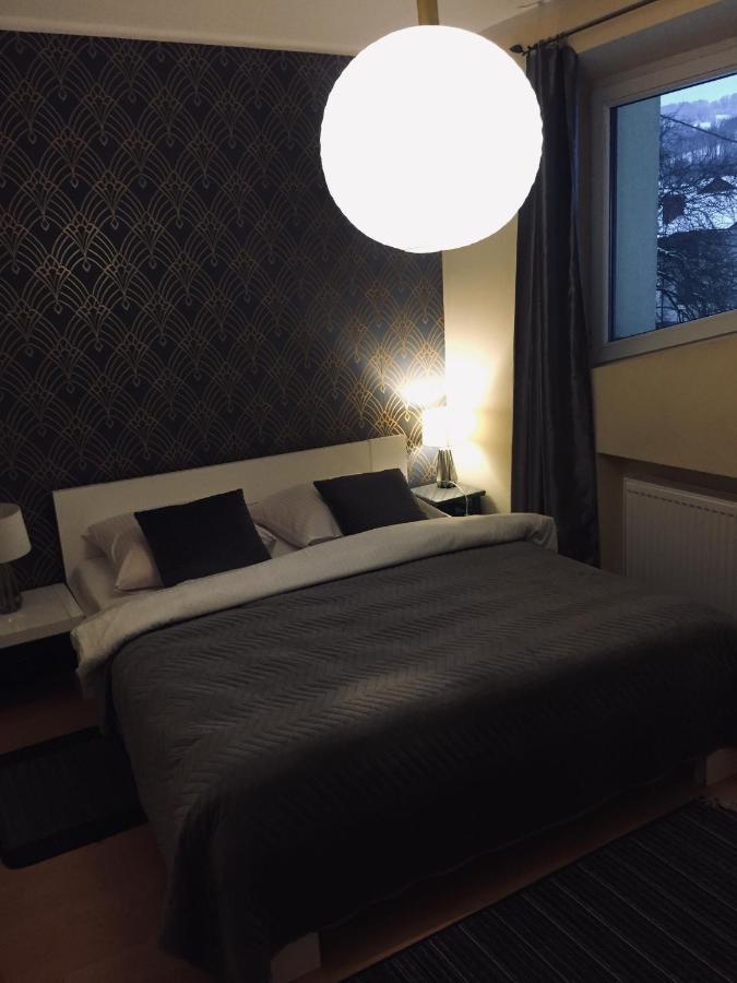 Willa Pod Stara Skocznia Висла Экстерьер фото